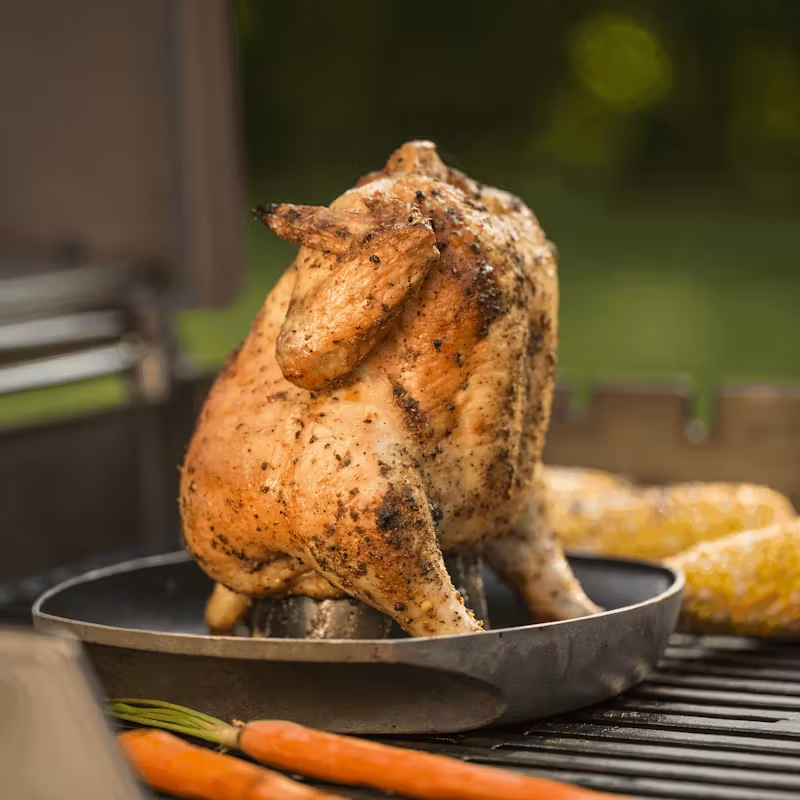 Weber Stainless Steel Style Poultry Infusion Roaster (453.6 G, Black) WEBER