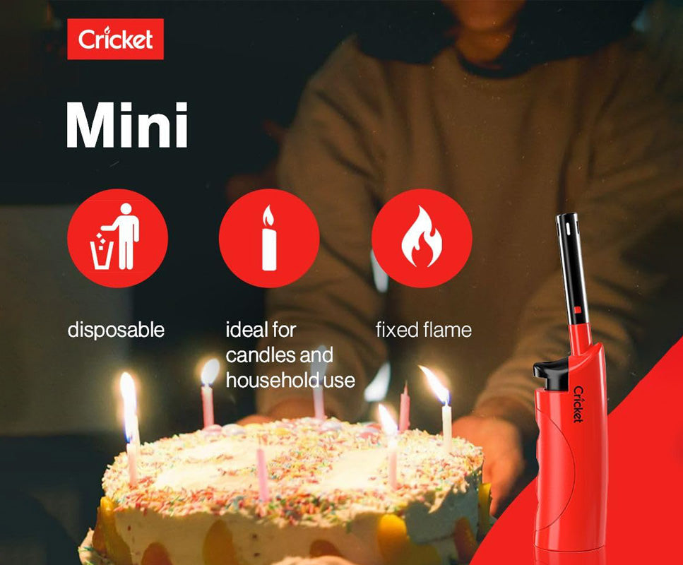 Kitchen Utility Gas Lighter Combo Pack (1 Flex & 1 Mini) Cricket Lighters India