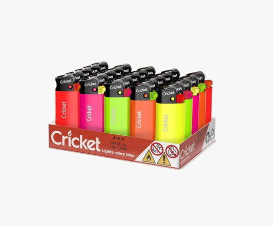 Mini Fluorescent Disposable Pocket Lighter, Pack of 25 Cricket Lighters India