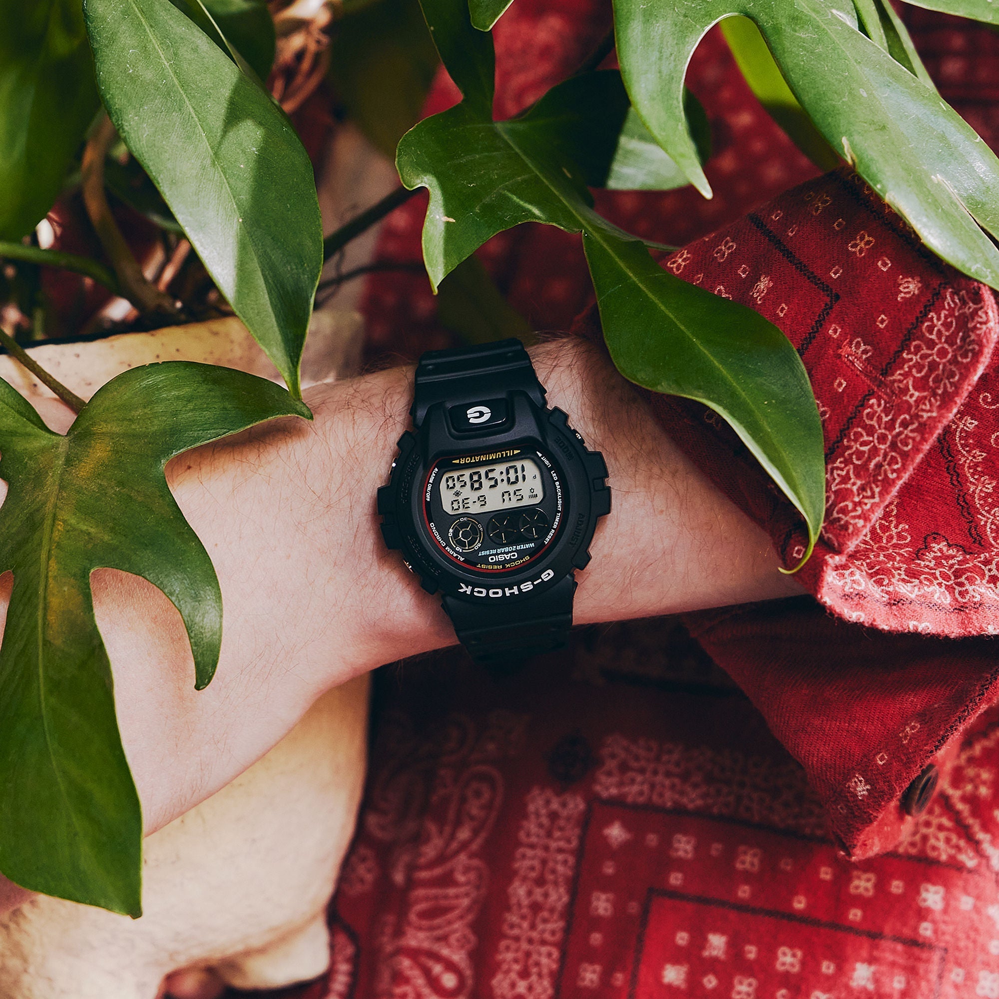 CASIO DW-6900RL-1 CASIO