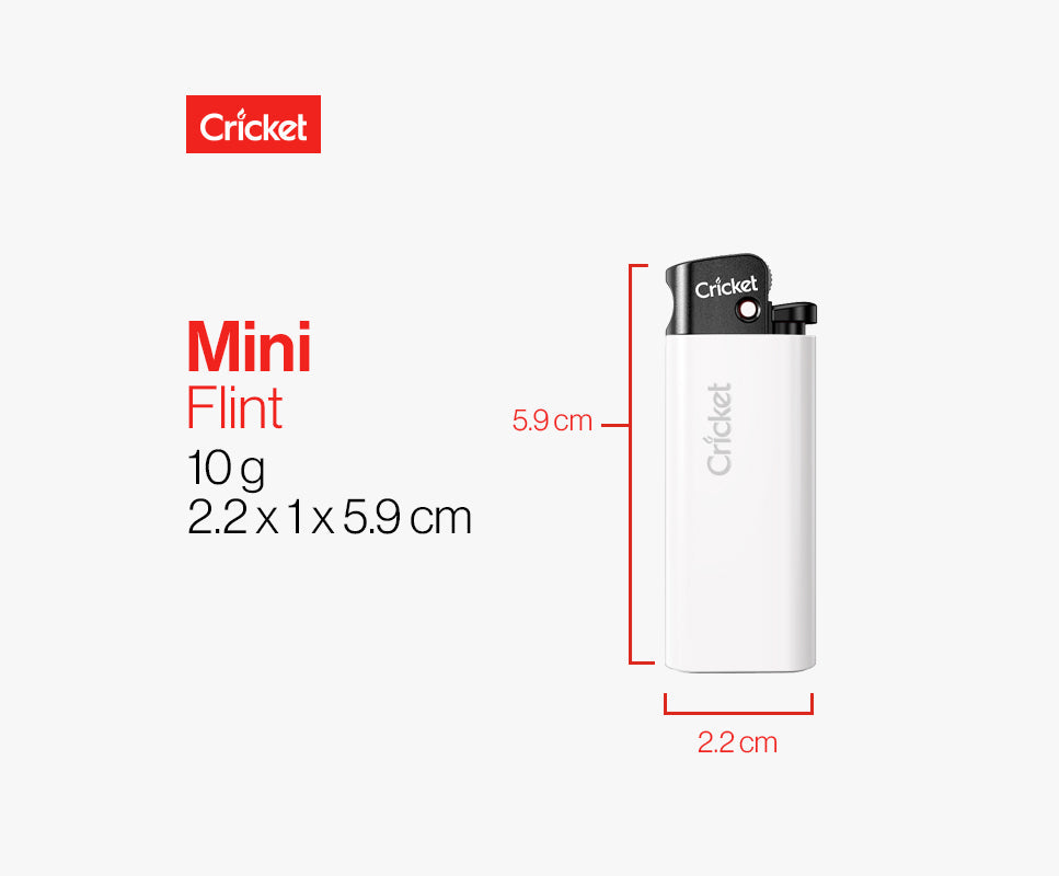 Mini Fluorescent Disposable Pocket Lighter, Pack of 50 Cricket Lighters India