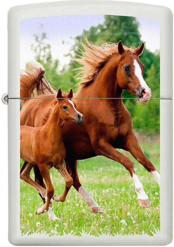 Zippo Mare and Foal Running Zippo