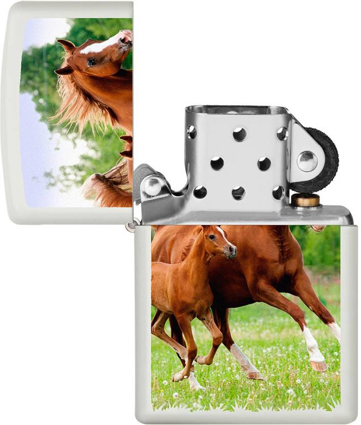 Zippo Mare and Foal Running Zippo