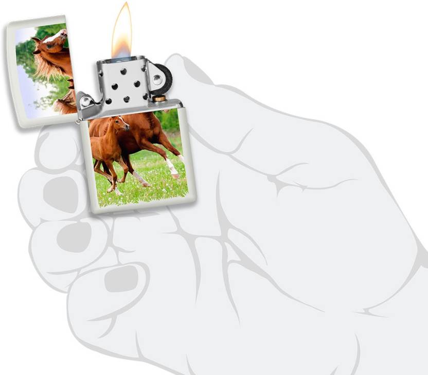Zippo Mare and Foal Running Zippo