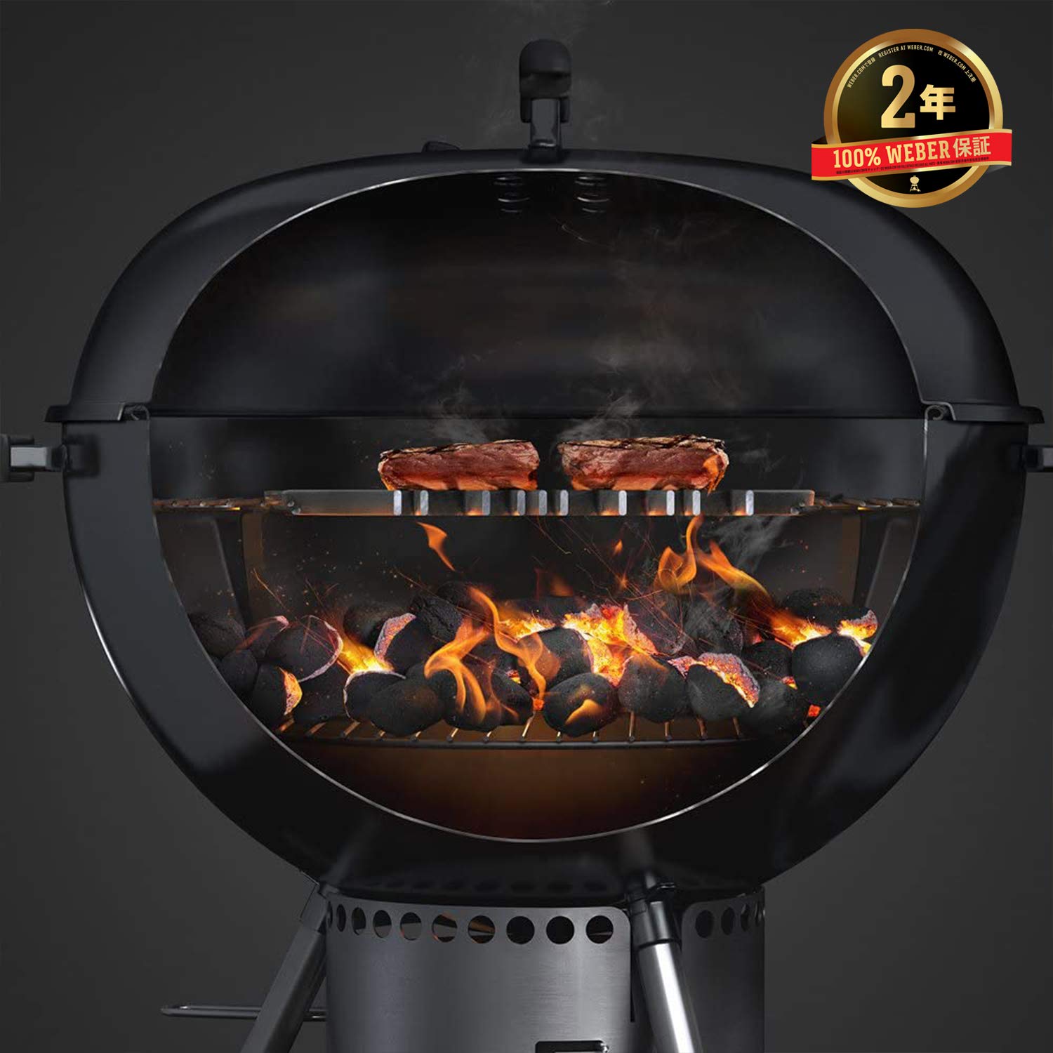 Weber-GBS - Sear Grate WEBER